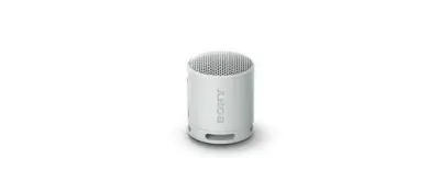 Sony SRS-XB100 Bluetooth Portable Speaker at ₹2,489
