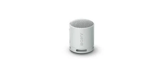 Sony SRS-XB100 Bluetooth Portable Speaker at ₹2,489