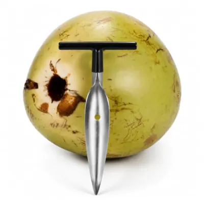 Stainless Steel Coconut Opener Tool with T-Handle | Tender Coconut Piercing Drill for Fresh Young Coconuts | Rust Resistant Coconut Water Op at ₹89