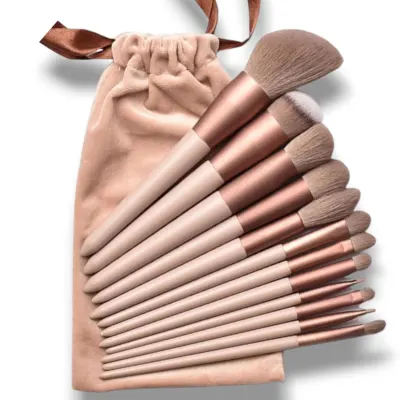 13 in 1 Makeup Brush Set at ₹99