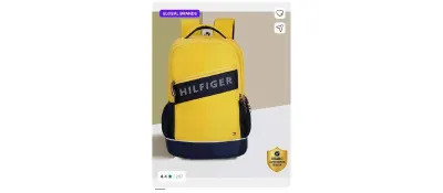 Tommy Hilfiger Large 31 L Backpack at ₹759