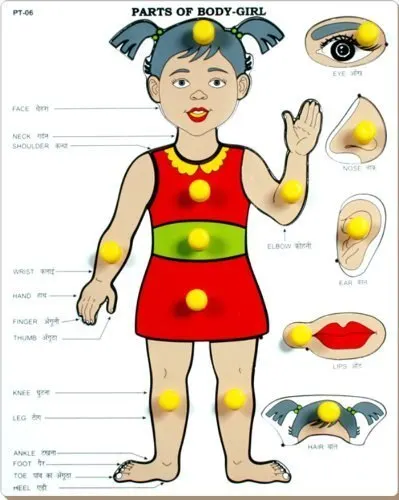 Little Genius Parts of Body - Girl with Big Knob, Red at ₹216