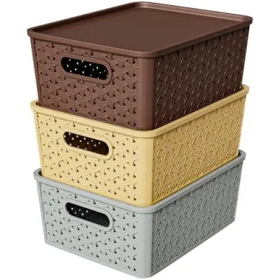 TEX-RO Storage Box and Organisers - Multi-Purpose Plastic Bo at ₹279