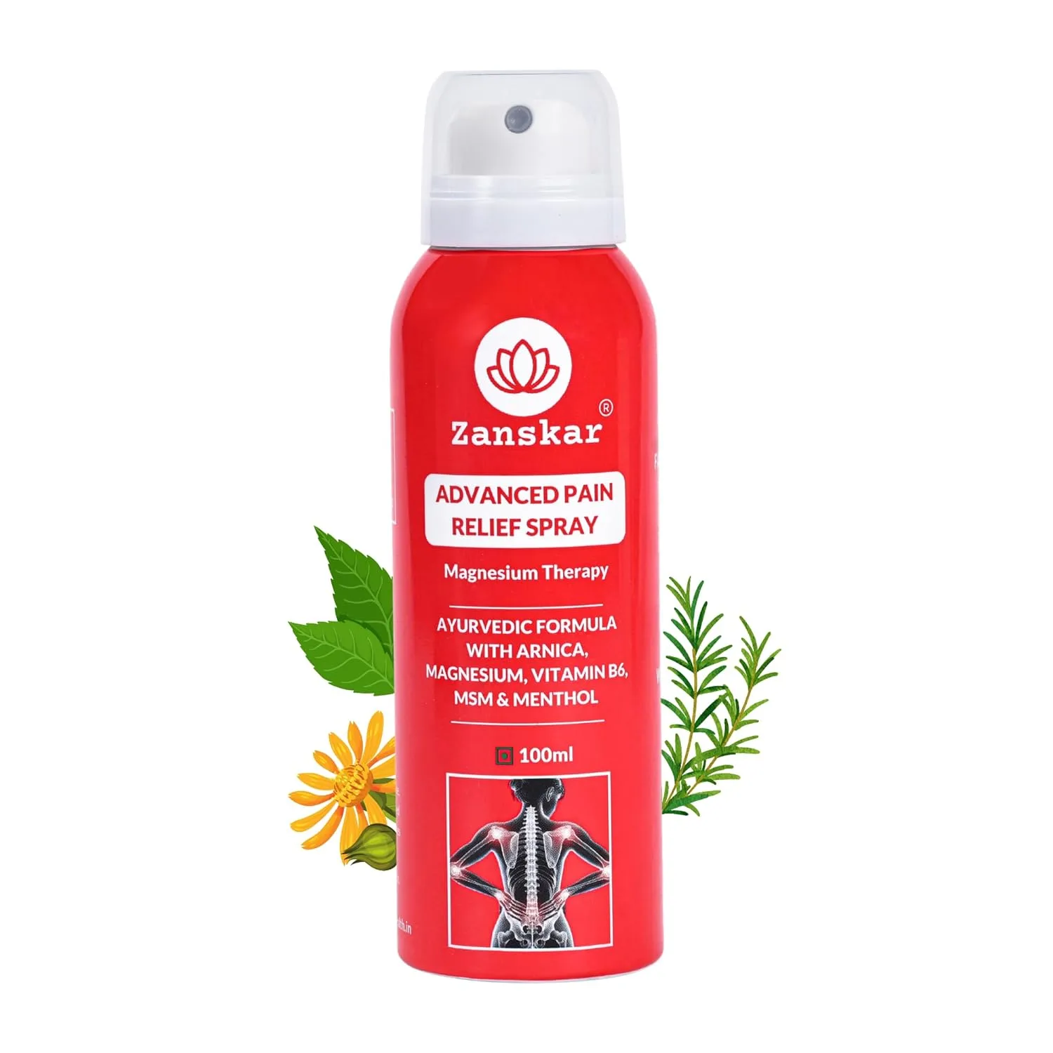 Zanskar Pain Relief Spray (100ml) At ₹361 + Coupon. at ₹361