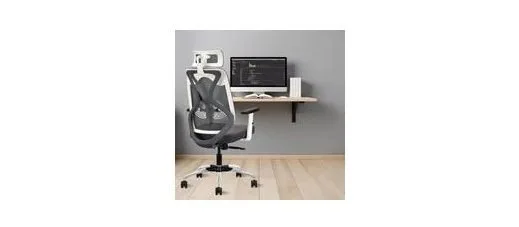 IAFA FURNITURE® Ergolux High Back Ergonomic Office & Study Chair at ₹3,510