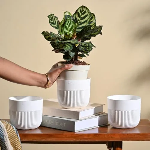 UGAOO York 5 Inch White Pots for Indoor Plants, Set of 3 - Flower Pot for Living Room, Planters for Home Decor, White Planter at ₹109