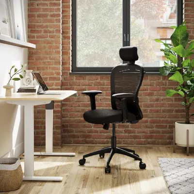 Wakefit Safari Ergonomic Office Chair for Work | 3 Year Warranty at ₹5,497