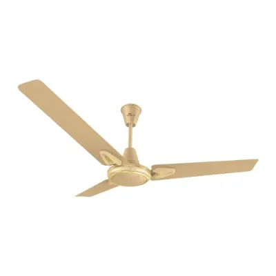 RR Signaure Jetta 1200 MM Designer High Speed Ceiling Fan for Home | (Honey Gold, Pack of 1), 2 Years Warranty at ₹1,699