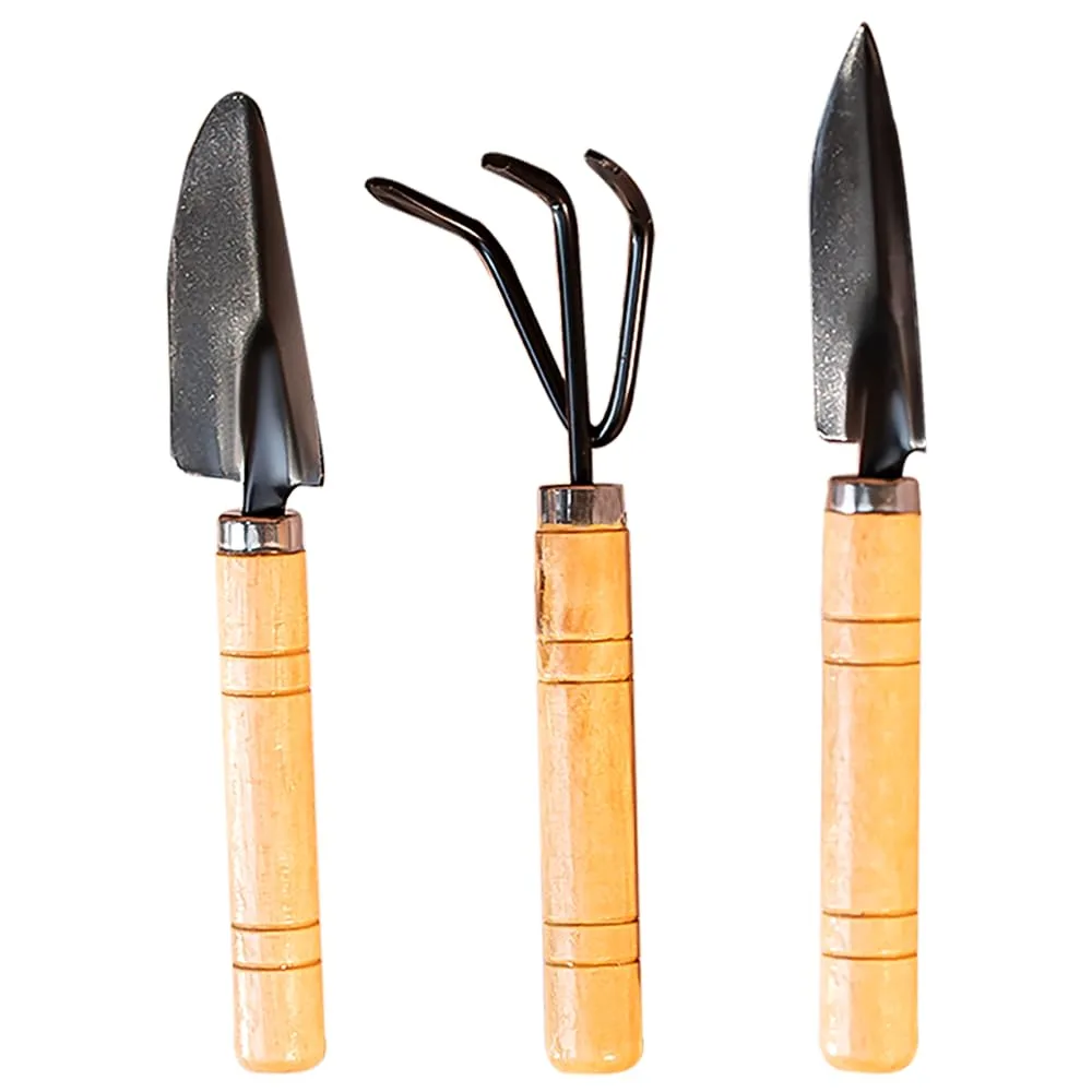 Garden Tool Set at ₹99