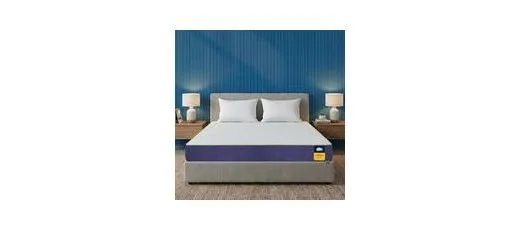 Centuary Mattresses Sleepables 8-Inch Queen Size Orthopedic Memory Foam Back Support Pressure Relieving Roll at ₹6,300