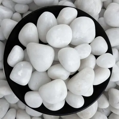 Foodie Puppies Polished White Pebbles Glossy Stones - (Large, 2Kg) (3cm - 5cm) | for Home Decorative, Vase Fillers, Aquarium Fish Tank, Gard at ₹151