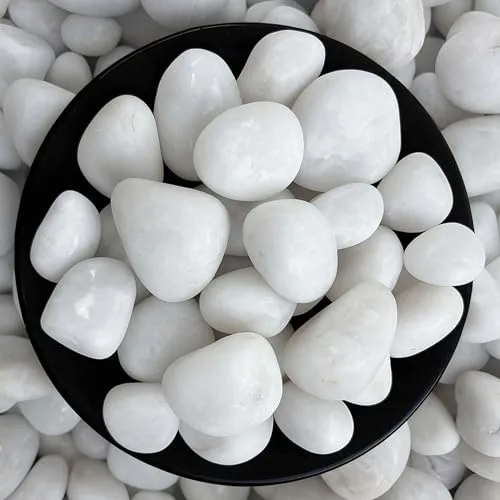 Foodie Puppies Polished White Pebbles Glossy Stones - (Large, 2Kg) (3cm - 5cm) | for Home Decorative, Vase Fillers, Aquarium Fish Tank, Gard at ₹151