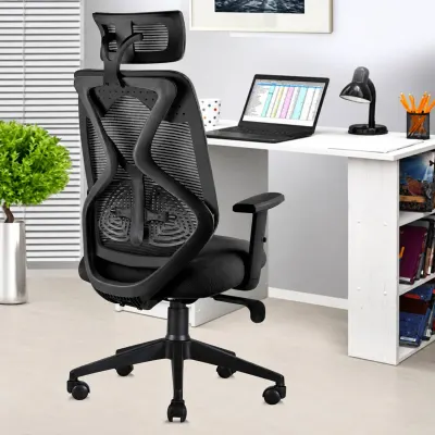 ASTRIDE Ergofit ISI Certified High Back Mesh Office Chair (Black) at ₹4,999