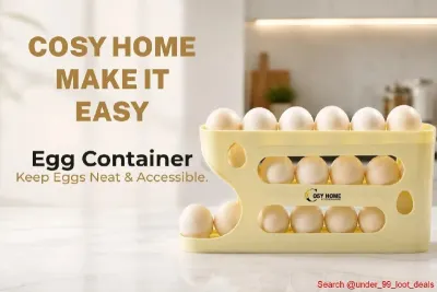 Egg Container (2 Dozen) at ₹160