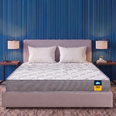 Centuary Mattresses 8-Inch Queen Size, 10 Years Warranty at ₹7,817