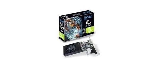 EVM Geforce Gt730 Graphics Card GPU at ₹4,230