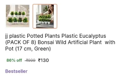 Pack of 8 Plant with Pot at ₹130