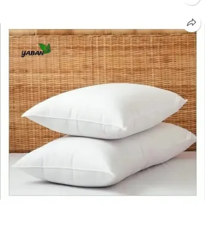 Pack of 2 Pillow Loot at ₹199
