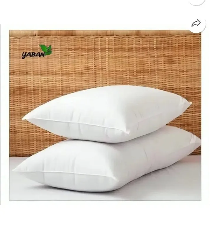 Pack of 2 Pillow Loot at ₹199