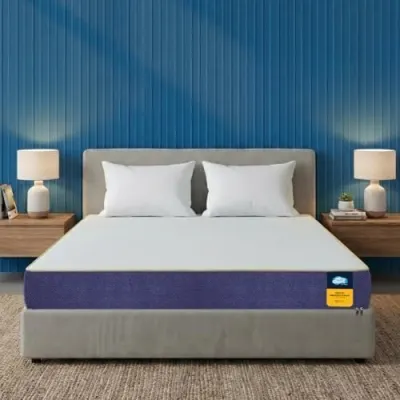 Centuary Mattresses Sleepables 8-Inch Queen Size Orthopedic Memory Foam Back Support Pressure Relieving Roll Pack High Resilience (HR) Foam  at ₹7,748