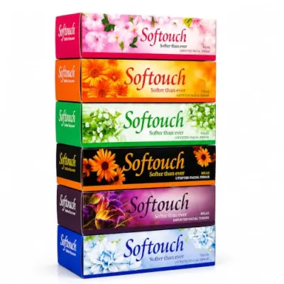 Softouch 2 Ply Facial Tissue Box 100 Pulls Each Pack (200 Sheets) Pack Of 6-600 Pulls Ultra Soft, Highly Absorbent & Skin Friendly Face Tiss at ₹170