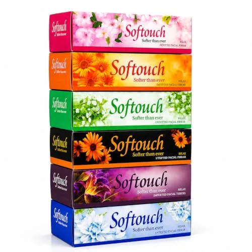Softouch 2 Ply Facial Tissue Box 100 Pulls Each Pack (200 Sheets) Pack Of 6-600 Pulls Ultra Soft, Highly Absorbent & Skin Friendly Face Tiss at ₹170