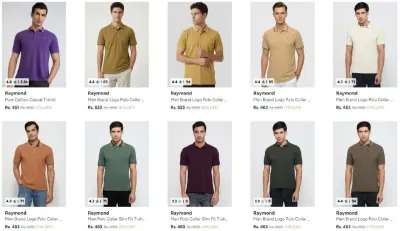 Raymond Polo Tshirt at ₹461