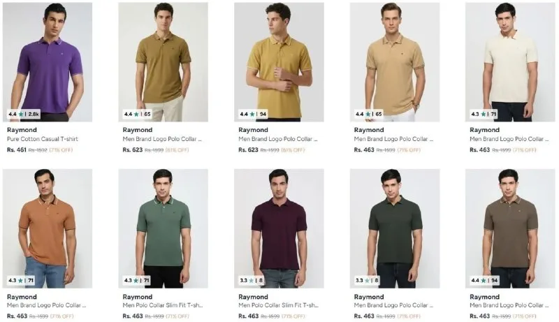 Raymond Polo Tshirt at ₹461