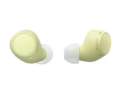 Sony WF-C510 Wireless Bluetooth Earbuds at ₹2,591