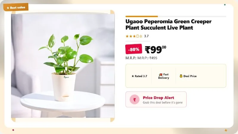 Plant with Pot at ₹99